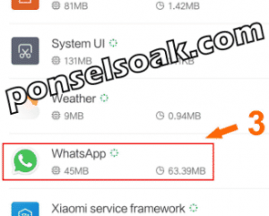 Kenapa Whatsapp Tidak Bisa Kirim Pesan Suara 10