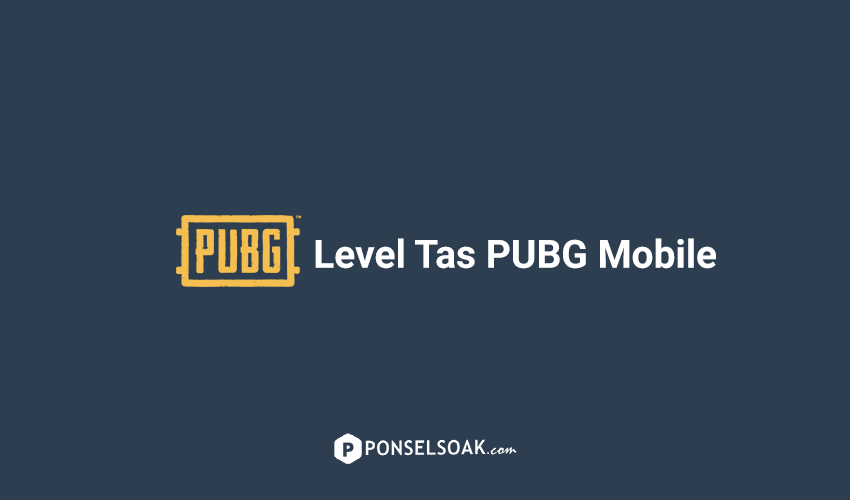 Level Tas PUBG Mobile