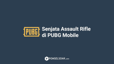 Senjata Assault Rifle di PUBG Mobile Paling Mematikan