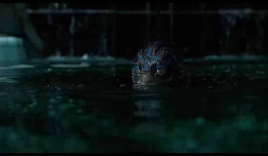 the shape of water 1