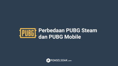 Perbedaan PUBG Steam PC vs PUBG Mobile