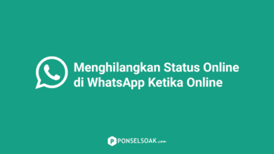 Cara Menghilangkan Status Online Di WhatsApp Ketika Online