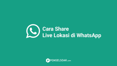 Cara Share Live Lokasi Di WhatsApp