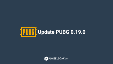 Update PUBG 0.19.0