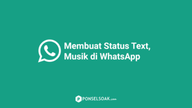 Membuat Status Text Musik Lagu di WhatsApp
