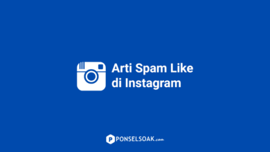 Arti Spam Like di Instagram