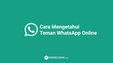 Cara Mengetahui Teman WhatsApp Online