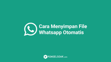 Cara Menyimpan File Whatsapp Otomatis