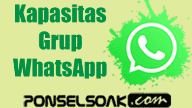 Kapasitas Grup WhatsApp